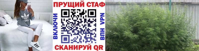 Наркошоп Коряжма Канабис  Мефедрон  A PVP  Гашиш  Cocaine 
