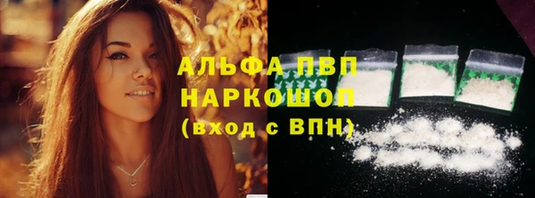 PSILOCYBIN Богородск