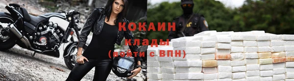 2c-b Бородино