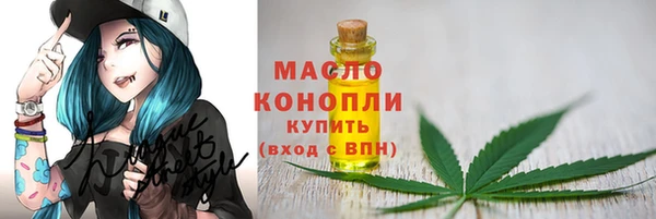 2c-b Бородино