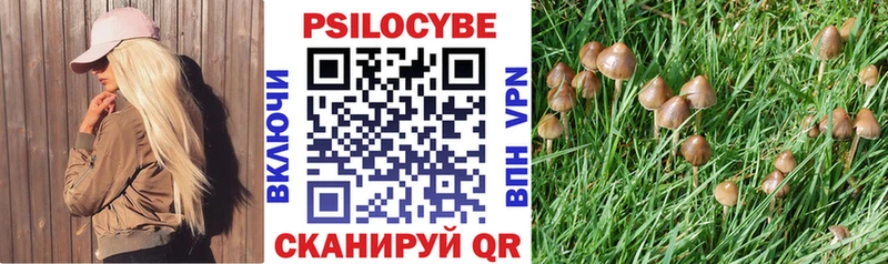 где купить   Коряжма  Галлюциногенные грибы Cubensis 